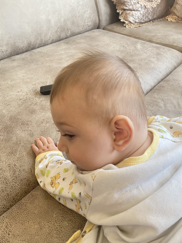 808B0C0E-3BD8-4B76-83BB-F6EC3F92CEEC