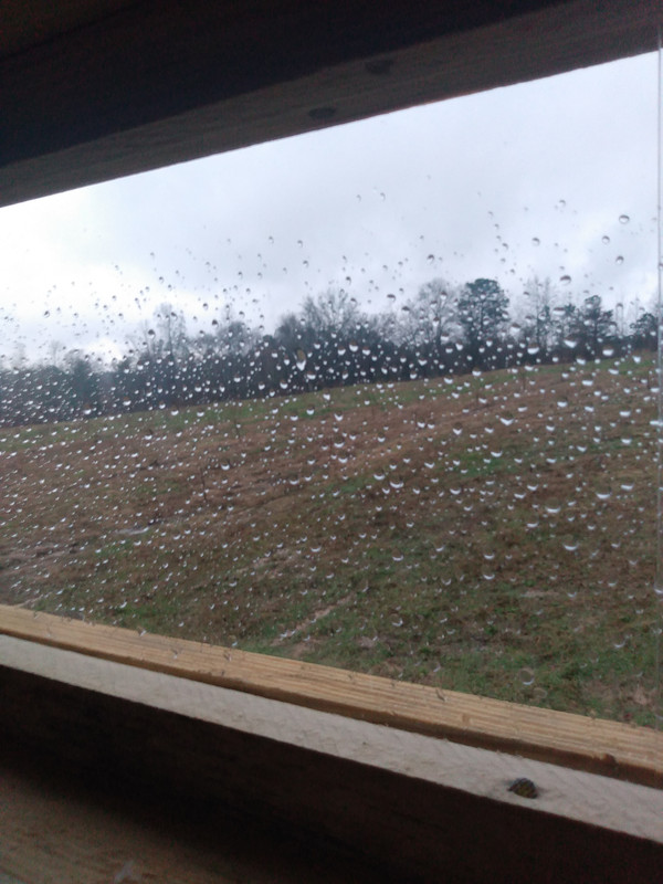 IMG_20220203_162755279