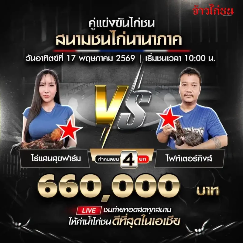 ไร่แสนสุขฟาร์ม พบ ไฟท์เตอร์คิงส์ โปรแกรมไก่ชน สนามชนไก่นานาภาค วันที่ 17 พฤษภาคม 2569