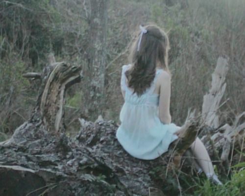 forestnymph