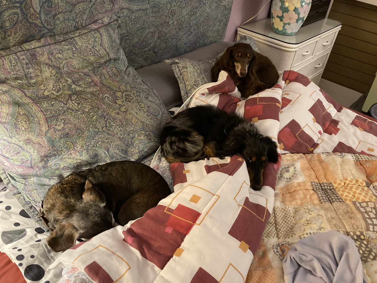 [Image: IMG-4135.jpg]