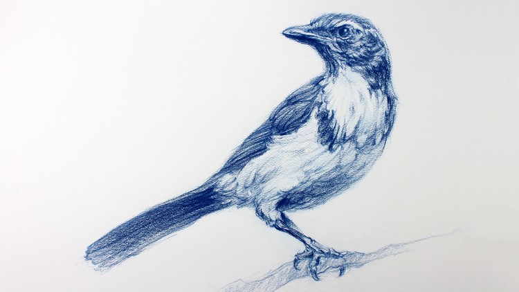 Click to enlarge Image error