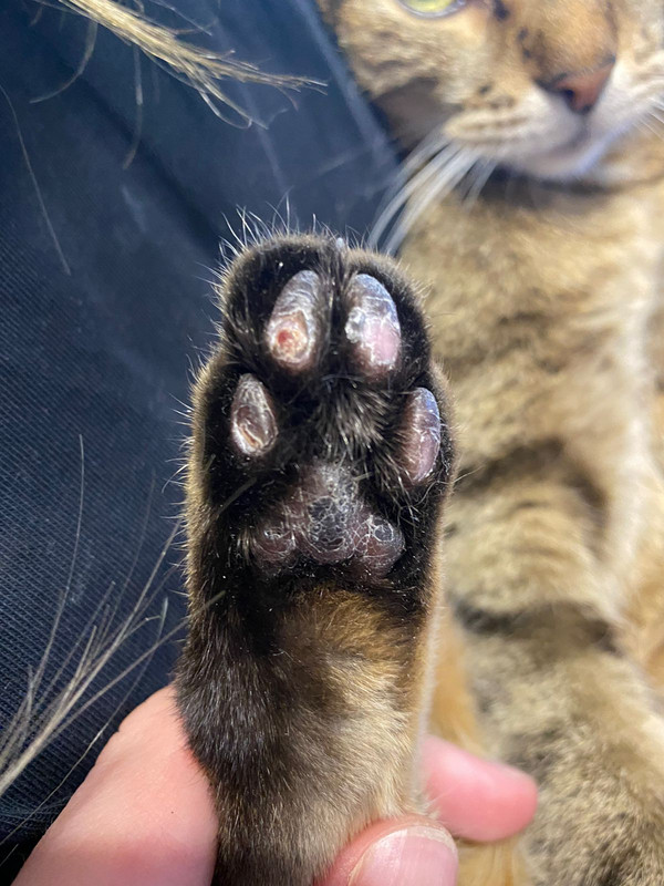 3E9528AC-F4B9-4321-B873-77007D17462E