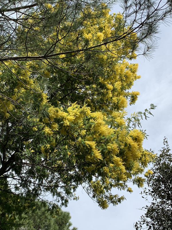 9FC0BCCF-EAB0-4CCD-9A2F-6E0DE4912284