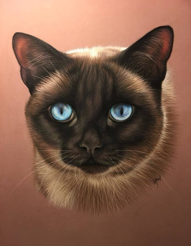 54