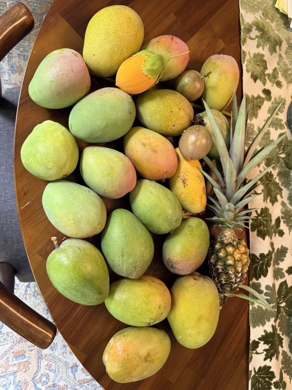 Mango n Fruit Spread 6 26