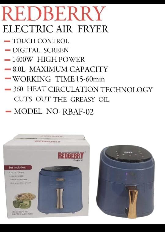 Electric air fryer