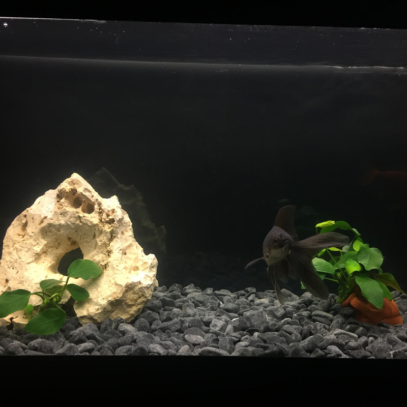 E066C90E-F8C5-41FB-8752-2F231206D13F