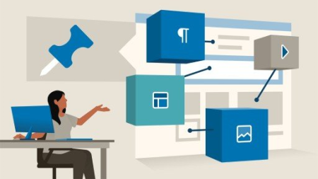 WordPress: Understanding the New Paradigm