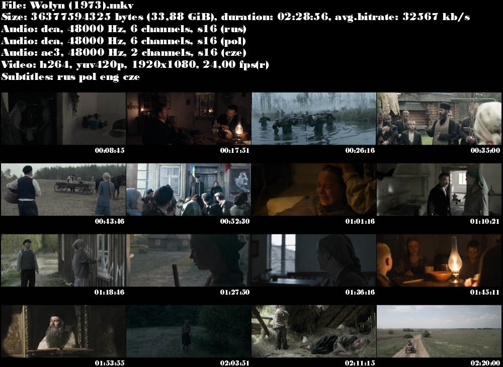 Volyň / Wołyń (2016)