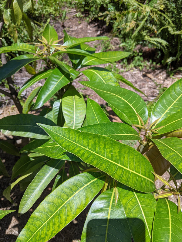 PXL_20210819_181451255