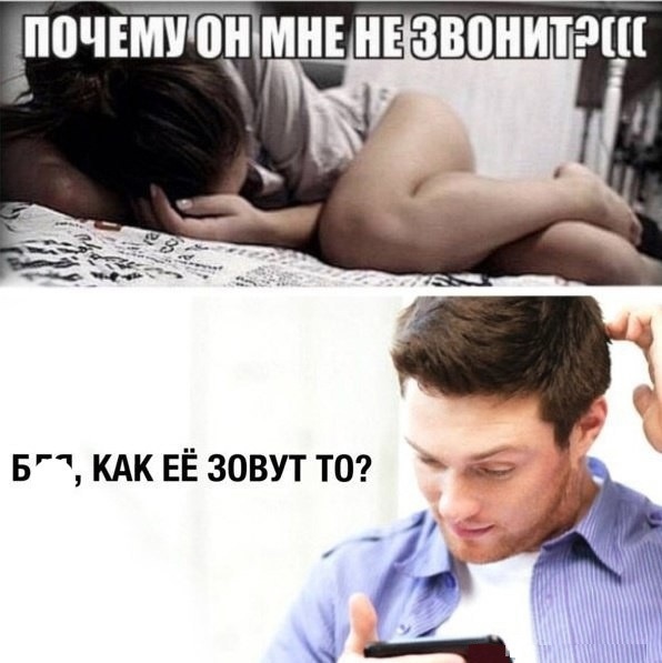 17206871.jpg