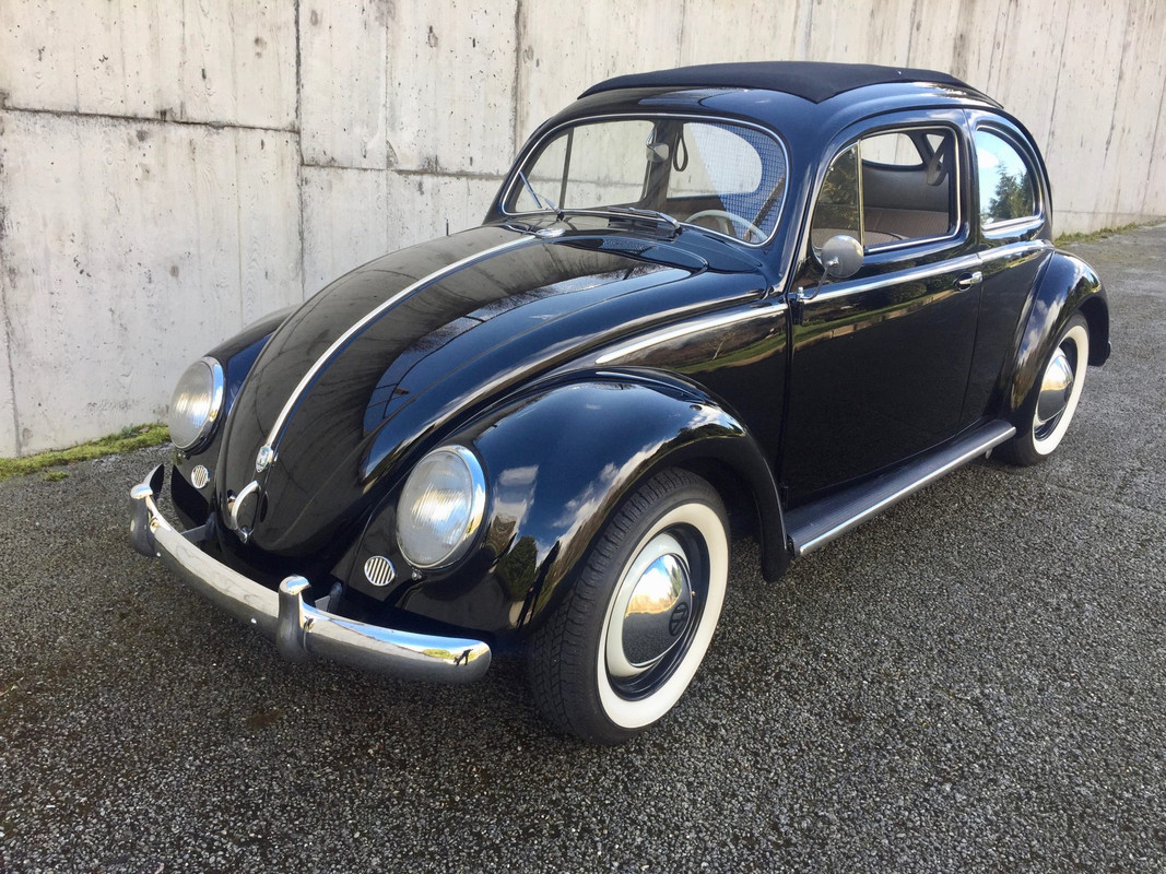 0 53 beetle 1
