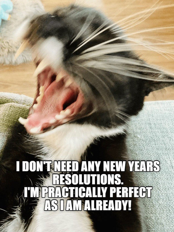 happy new year