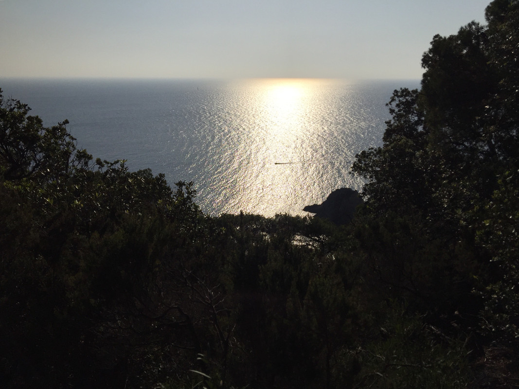 08530472-F65D-4A83-94AD-0FEEF19A1F2E