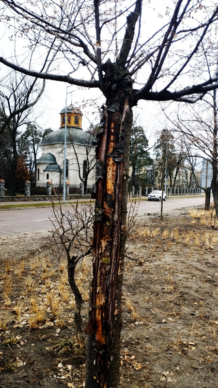 IMG_20250131_144123A