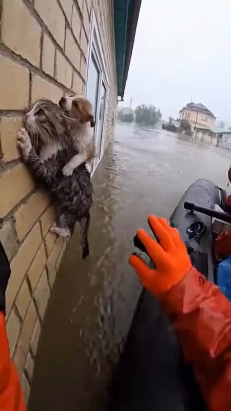 ad6a2fdab3991cd2b14f692feaa472d0