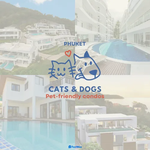 Top 12 PetFriendly Condos for My Furry Friend FazWaz