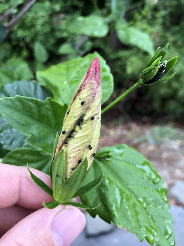 00CF106E-C3C3-4565-9ADD-36C2305E39EF