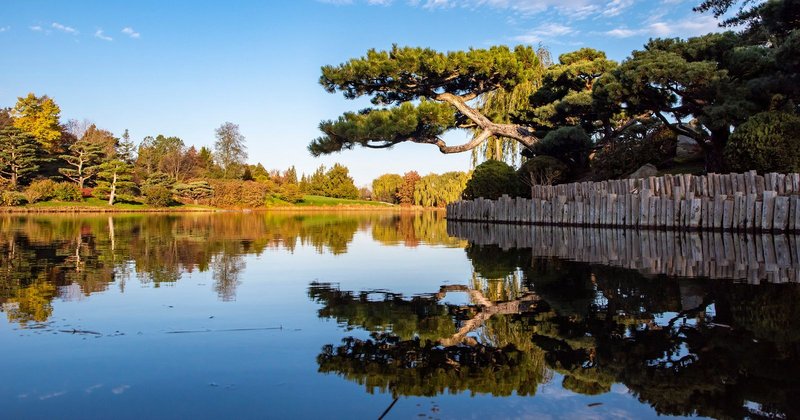 270934012-10159727808605699-7376176133274086687-n