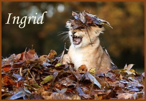 zaterdag