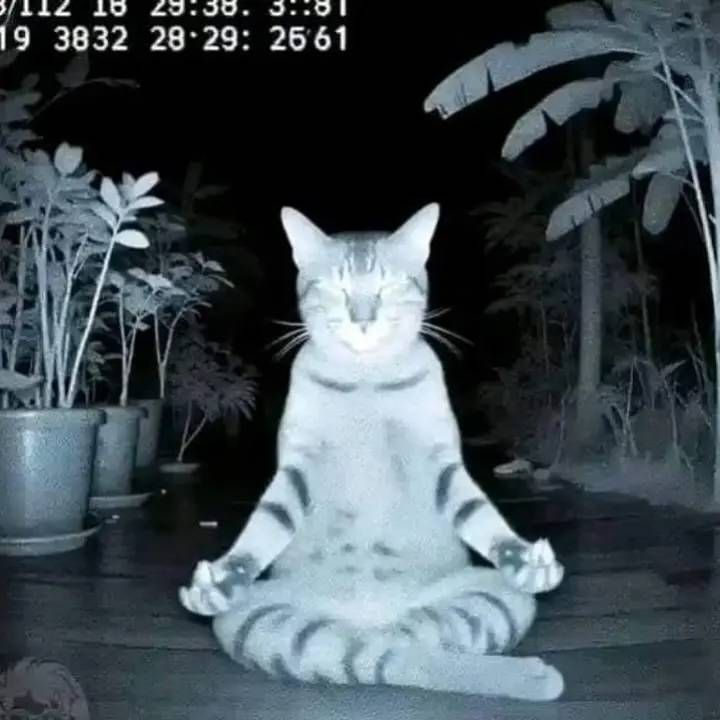 IBET899 : Situs Games Online Terpercaya APK Fitur Terbaik Mahjong Ways X1000