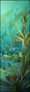 sidebar kelp