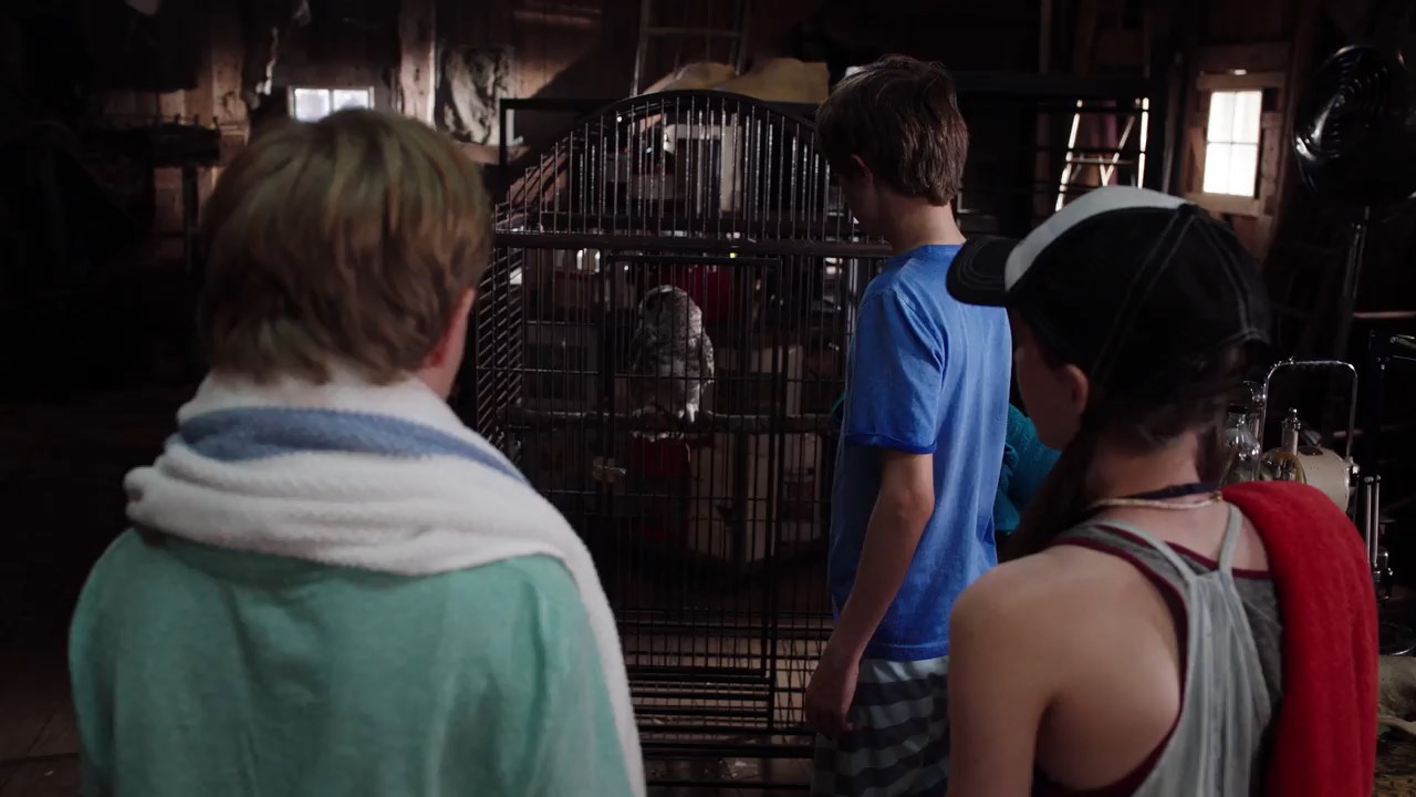Woody Woodpecker 2017 BluRay [Hindi + English] 480p, 720p Screenshot