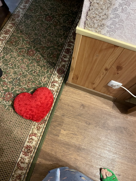 https://i.postimg.cc/vTJbKd2F/IMG-5219.jpg
