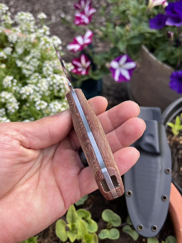 6093736E-69F1-4A4C-89CA-6611F582F70B