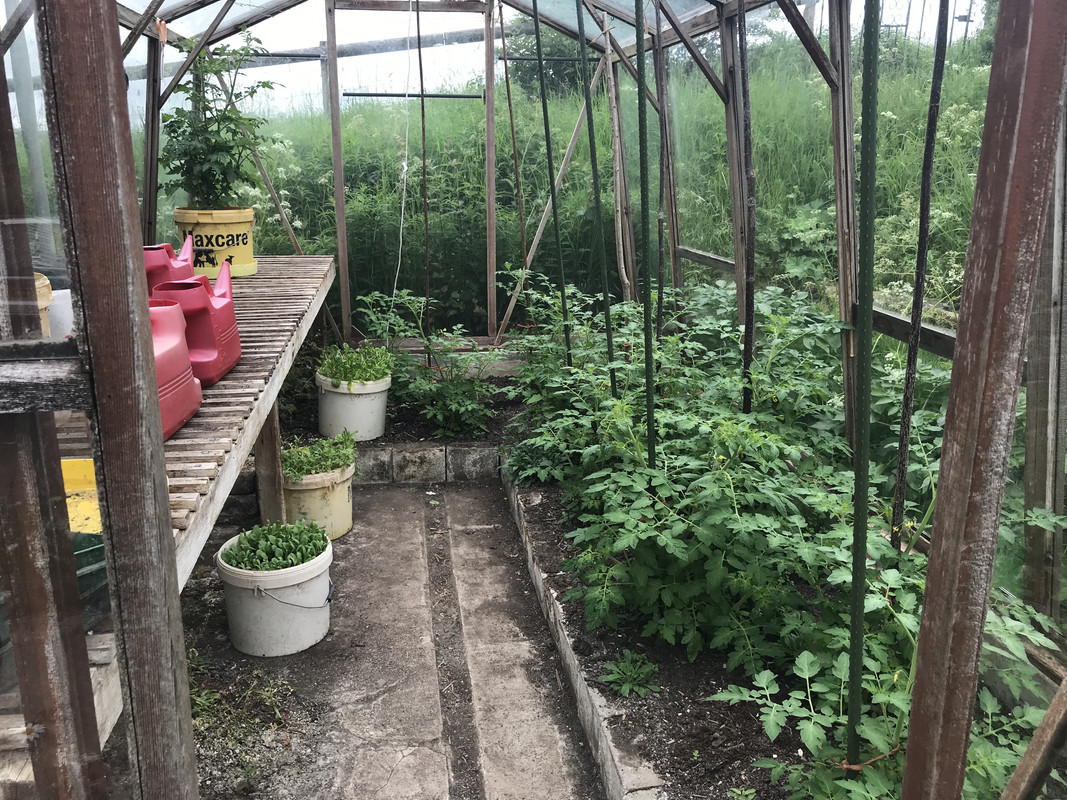 9C5D9EF9-1D9B-49AE-A024-EF6C46ED0994