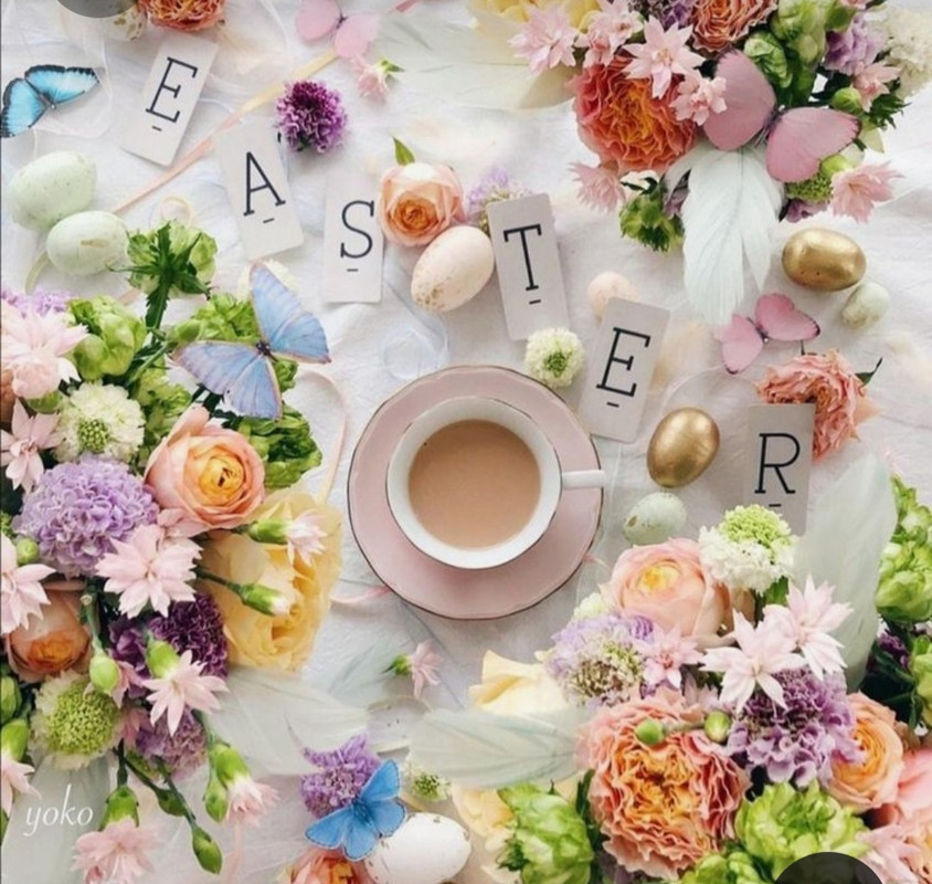 Screenshot_20230328_005840_Pinterest