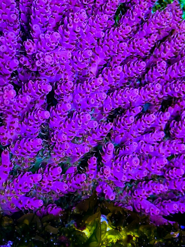 B9BCC2BB-FB2F-4881-B71C-70F3ADC0CEF6