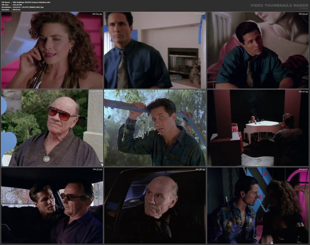 Silk Stalkings S01E02 Going to Babylon.mkv