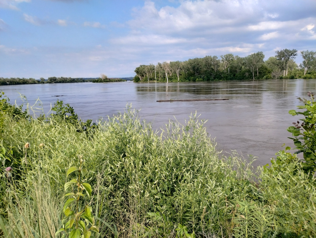 IMG_20240628_180456758_HDR