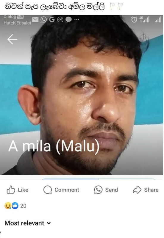 a.jpg