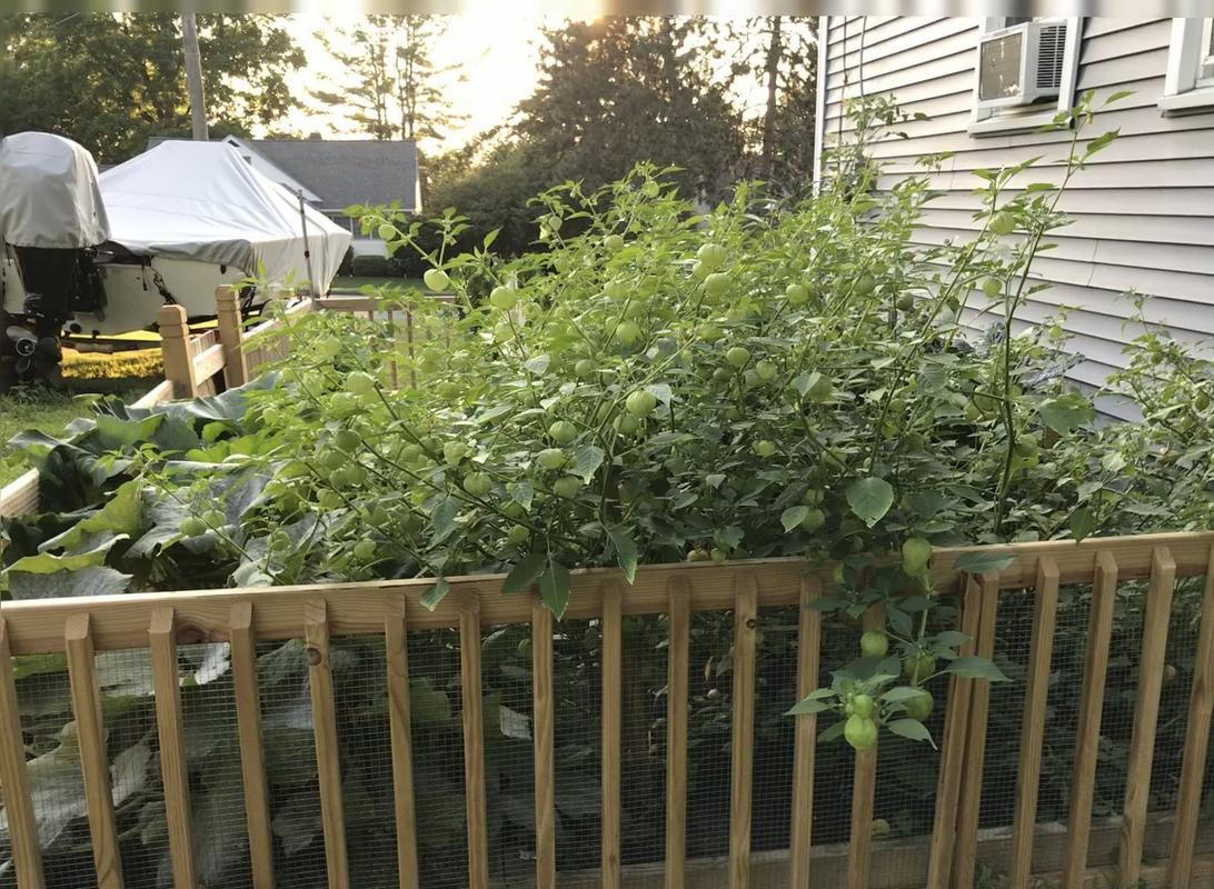 garden1