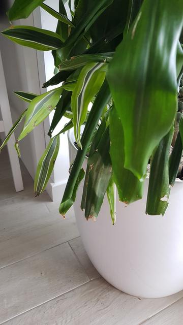 20190320-162550.jpg