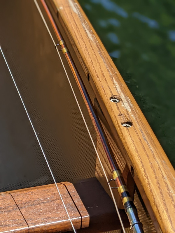 PXL_20220408_175920227.PORTRAIT