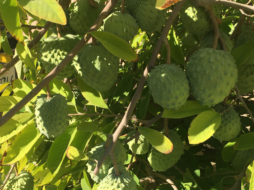 ECF95450-BC8A-4433-9B6C-D22EAF29AB45