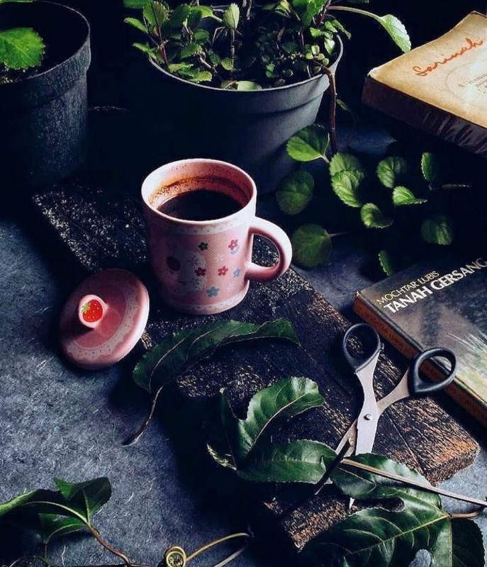 Screenshot_20231210_182309_Instagram