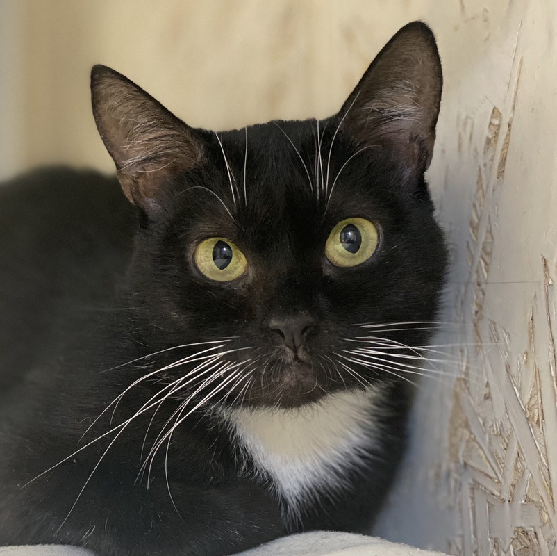 A03AD5DE-53B7-4B08-B5E0-F89EC3D04EBD