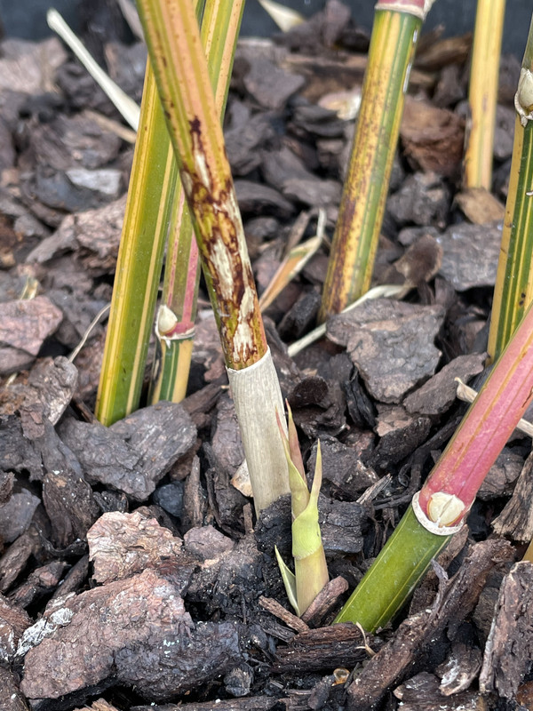 54CBBCBB-33A1-4009-90F9-E348EF9BA823