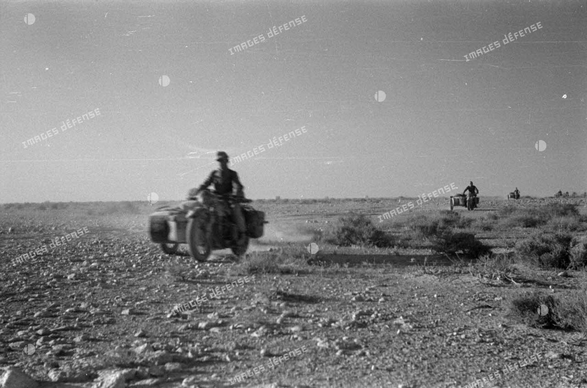 Side-cars qui roulent dans le désert 1941 (7)