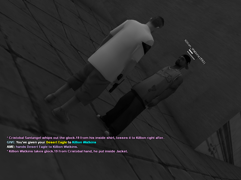 SS2.png