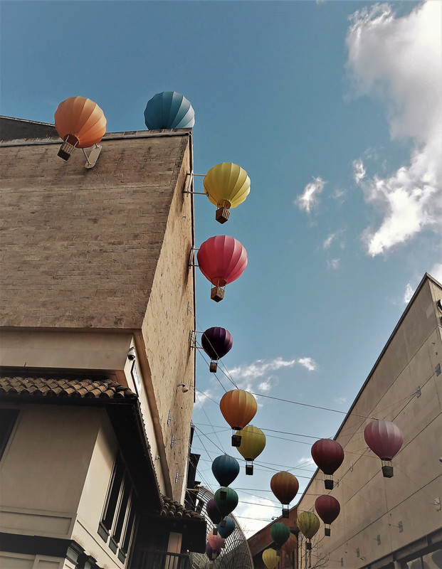 IMG_20200227_122616 (2)