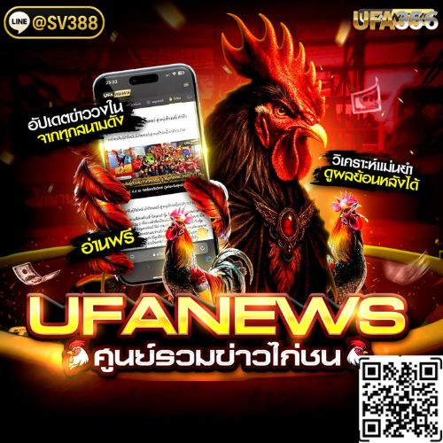 ไก ชน sv388 2569 (5)