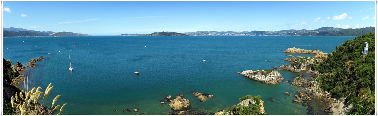 Escapadas y rutas por la Nueva Zelanda menos conocida - Blogs de Nueva Zelanda - Wellington más allá del Te Papa y el Cable Car (40)