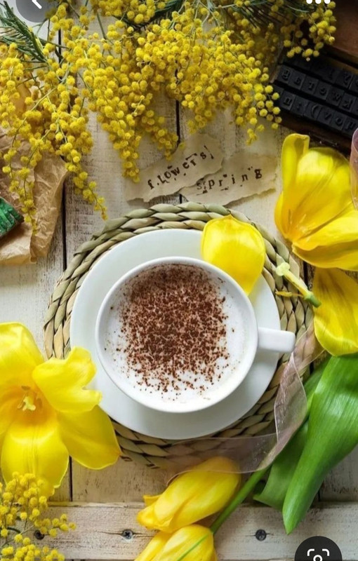 Screenshot_20230622_004106_Pinterest