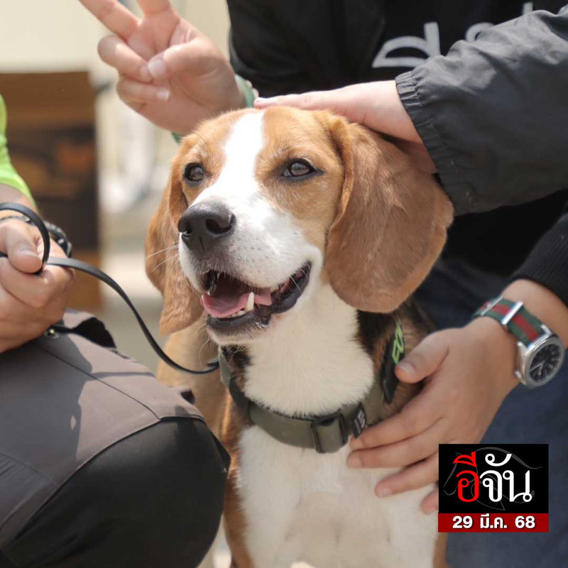 487183133-660942786645156-3067882525720833220-n